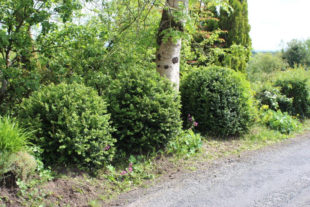 Ketty'S Cottage Rosslea Exterior foto